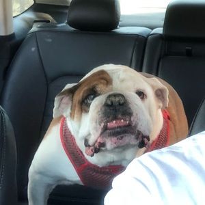 Meet your Posher, Jesse